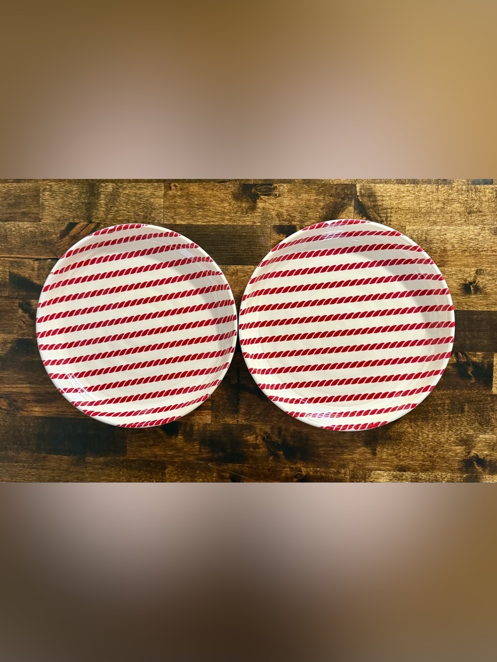 Pottery Barn Style Barn Nautical Rope Salad Plates, 8.75"